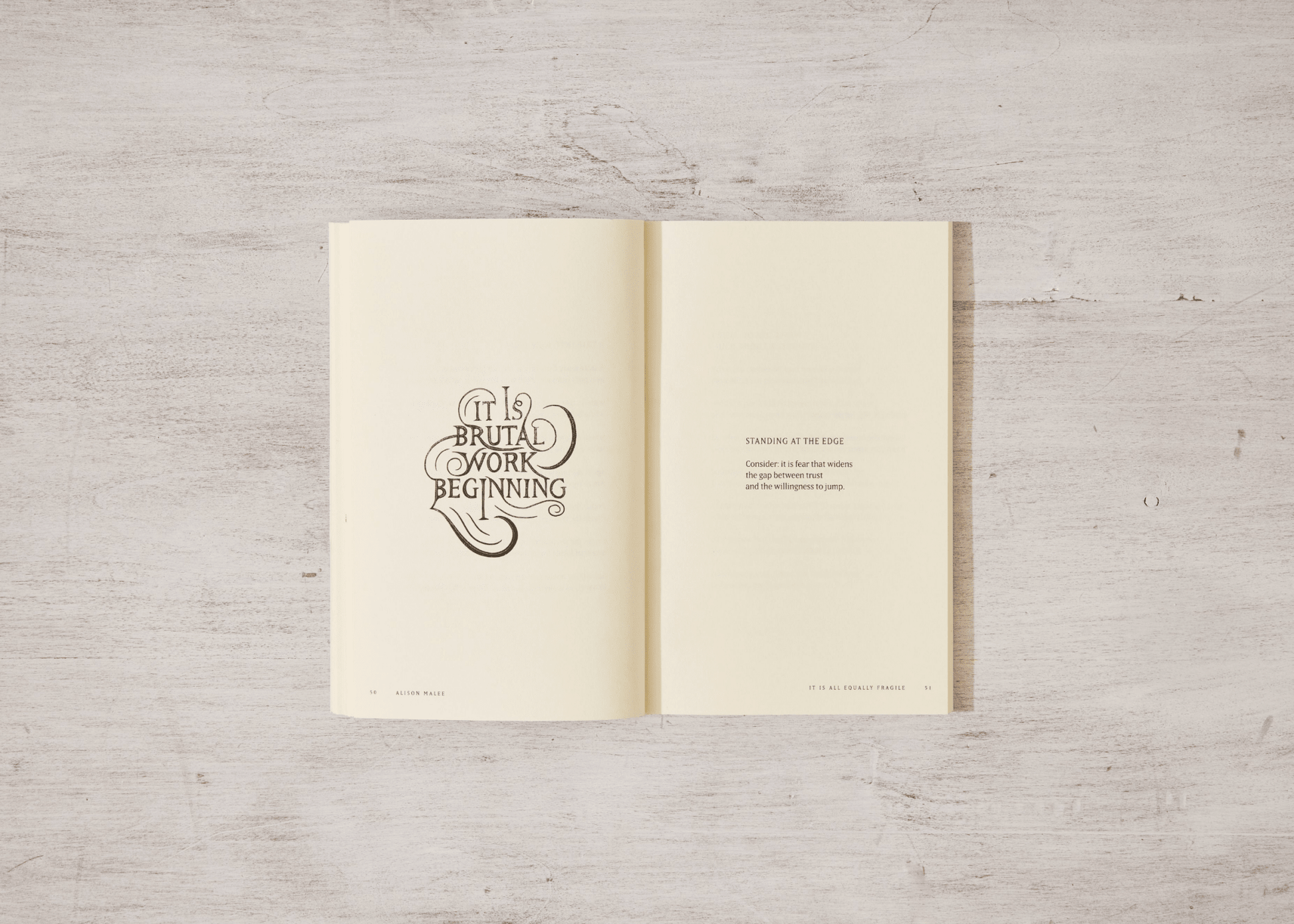 Thought Catalog - It Is All Equally Fragile - poetry book - Dear John