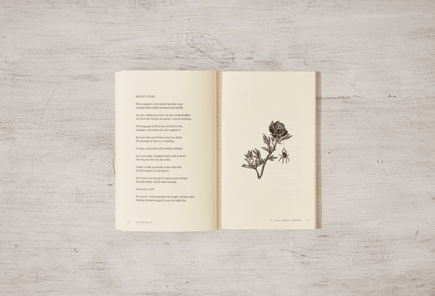 Thought Catalog - It Is All Equally Fragile - poetry book - Dear John