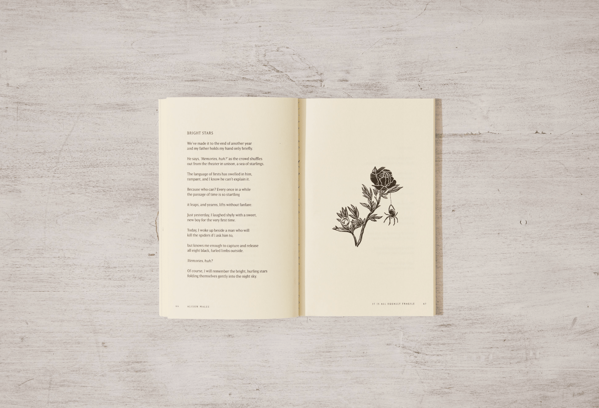 Thought Catalog - It Is All Equally Fragile - poetry book - Dear John