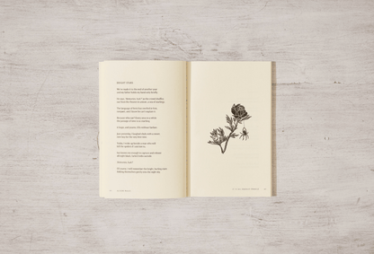 Thought Catalog - It Is All Equally Fragile - poetry book - Dear John