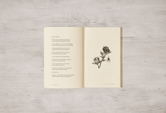 Thought Catalog - It Is All Equally Fragile - poetry book - Dear John
