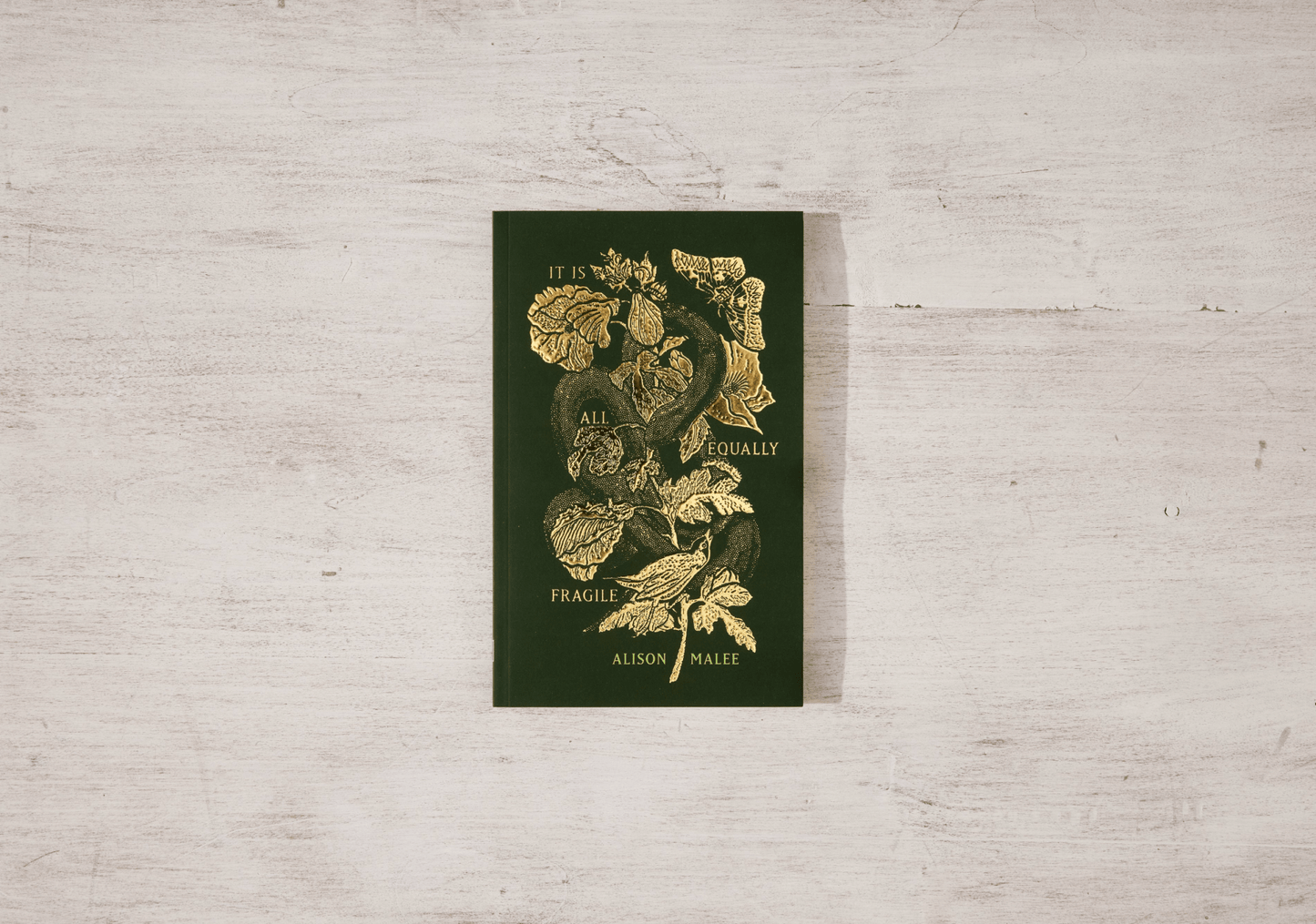 Thought Catalog - It Is All Equally Fragile - poetry book - Dear John