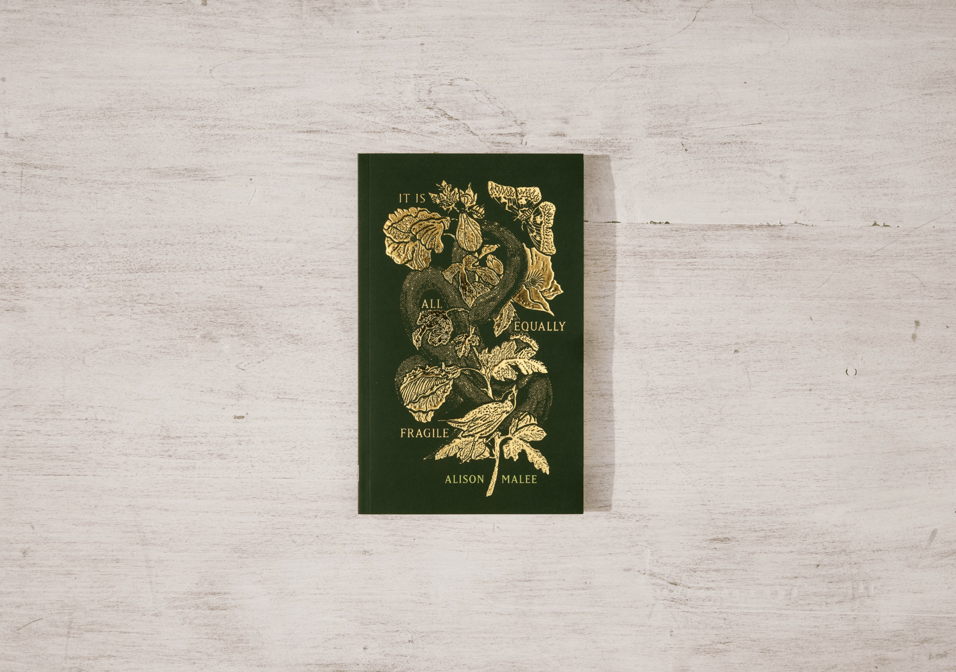 Thought Catalog - It Is All Equally Fragile - poetry book - Dear John