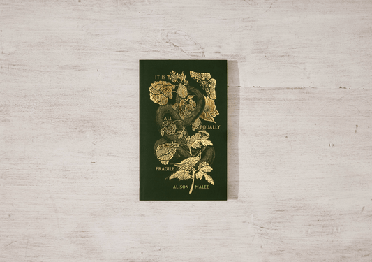 Thought Catalog - It Is All Equally Fragile - poetry book - Dear John