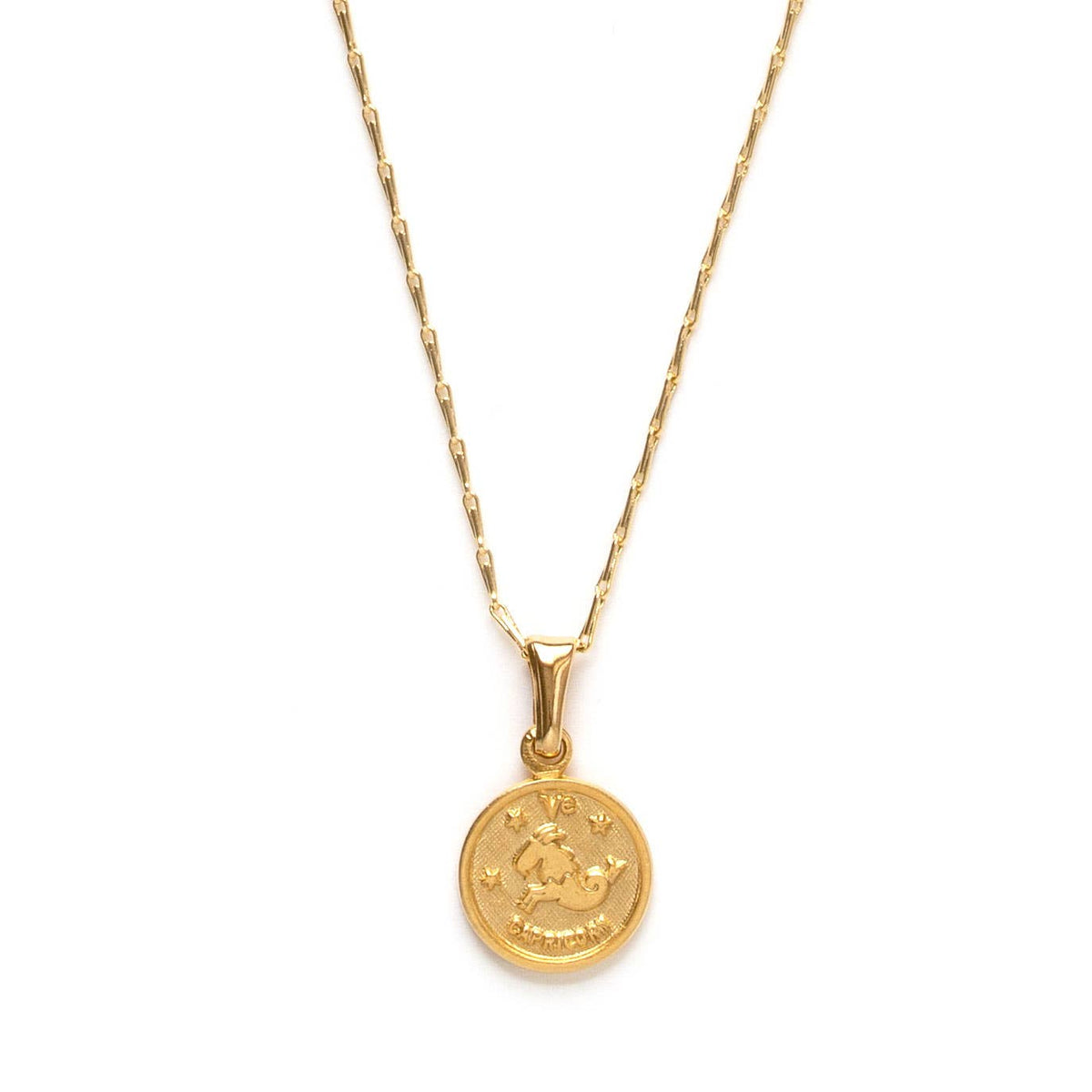 Tiny Zodiac Medallion Necklace — 14k Gold Over Brass (Singles) - Dear John