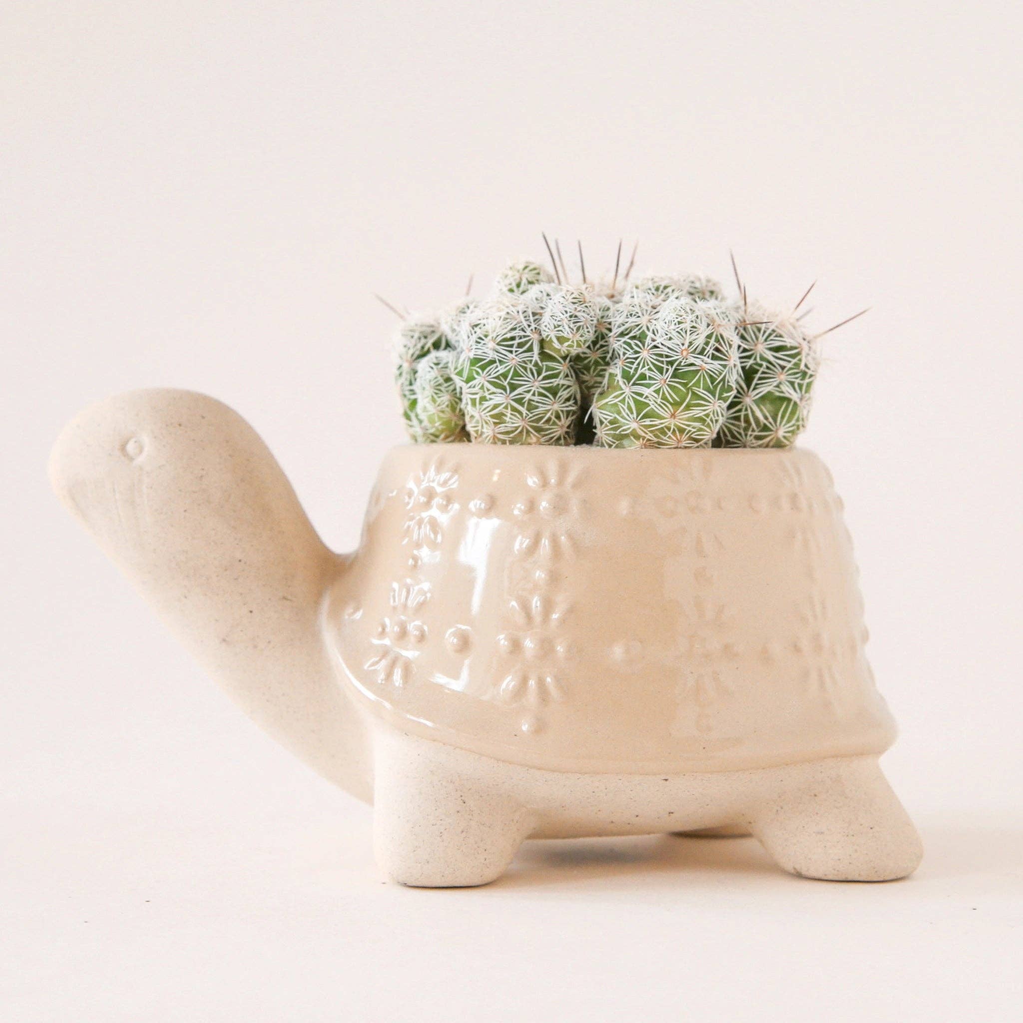 Turtle Planter | Sand - Dear John