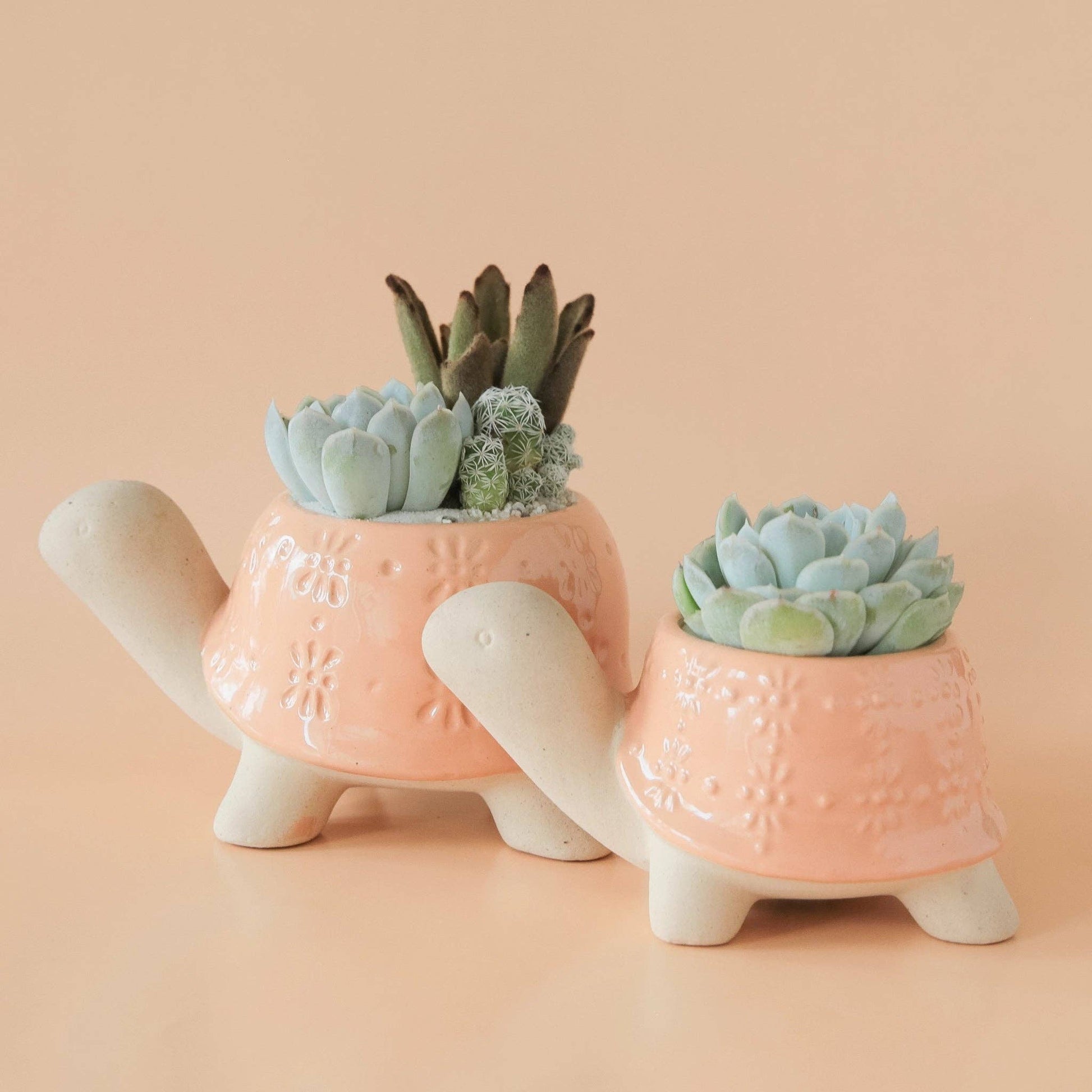 Turtle Planter | Sunset - Dear John