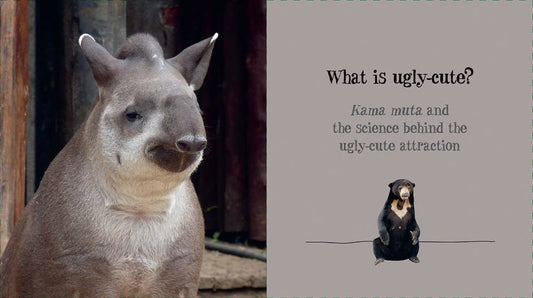 Ugly - Cute — Jennifer McCartney - Dear John