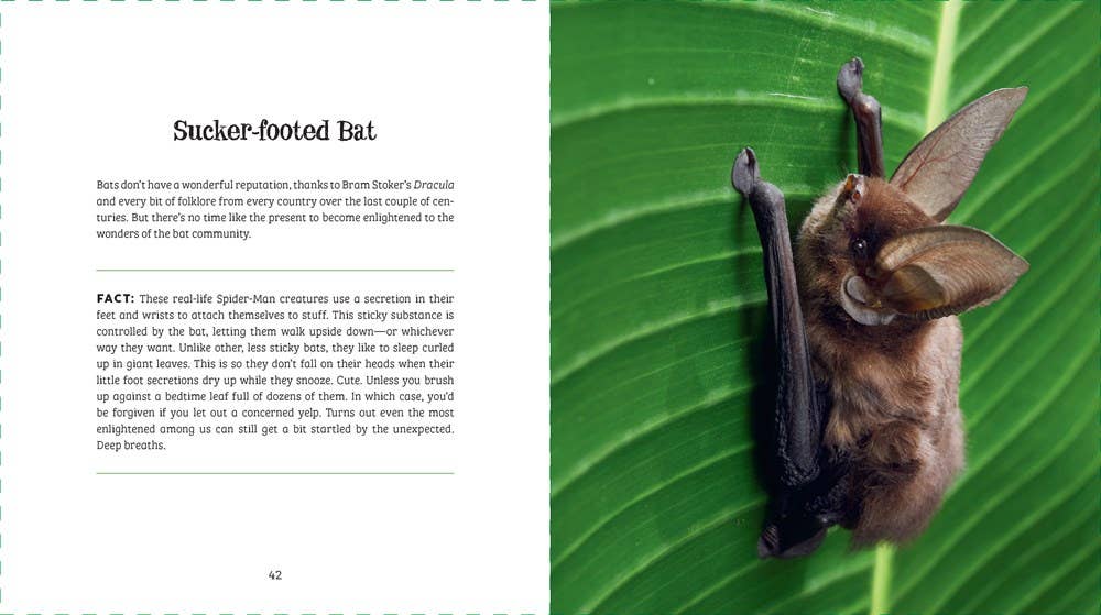 Ugly - Cute — Jennifer McCartney - Dear John