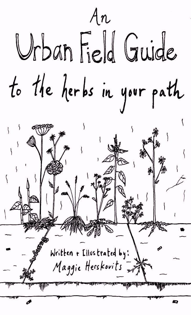 Urban Field Guide to the Herbs in Your Path (Zine) - Dear John