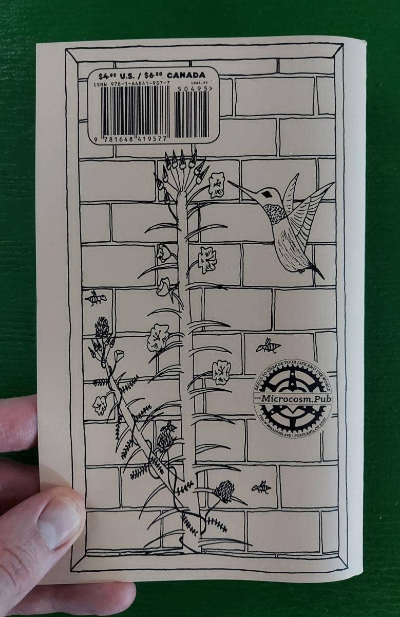 Urban Field Guide to the Herbs in Your Path (Zine) - Dear John