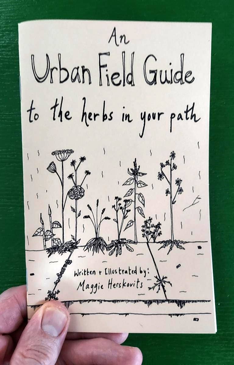 Urban Field Guide to the Herbs in Your Path (Zine) - Dear John