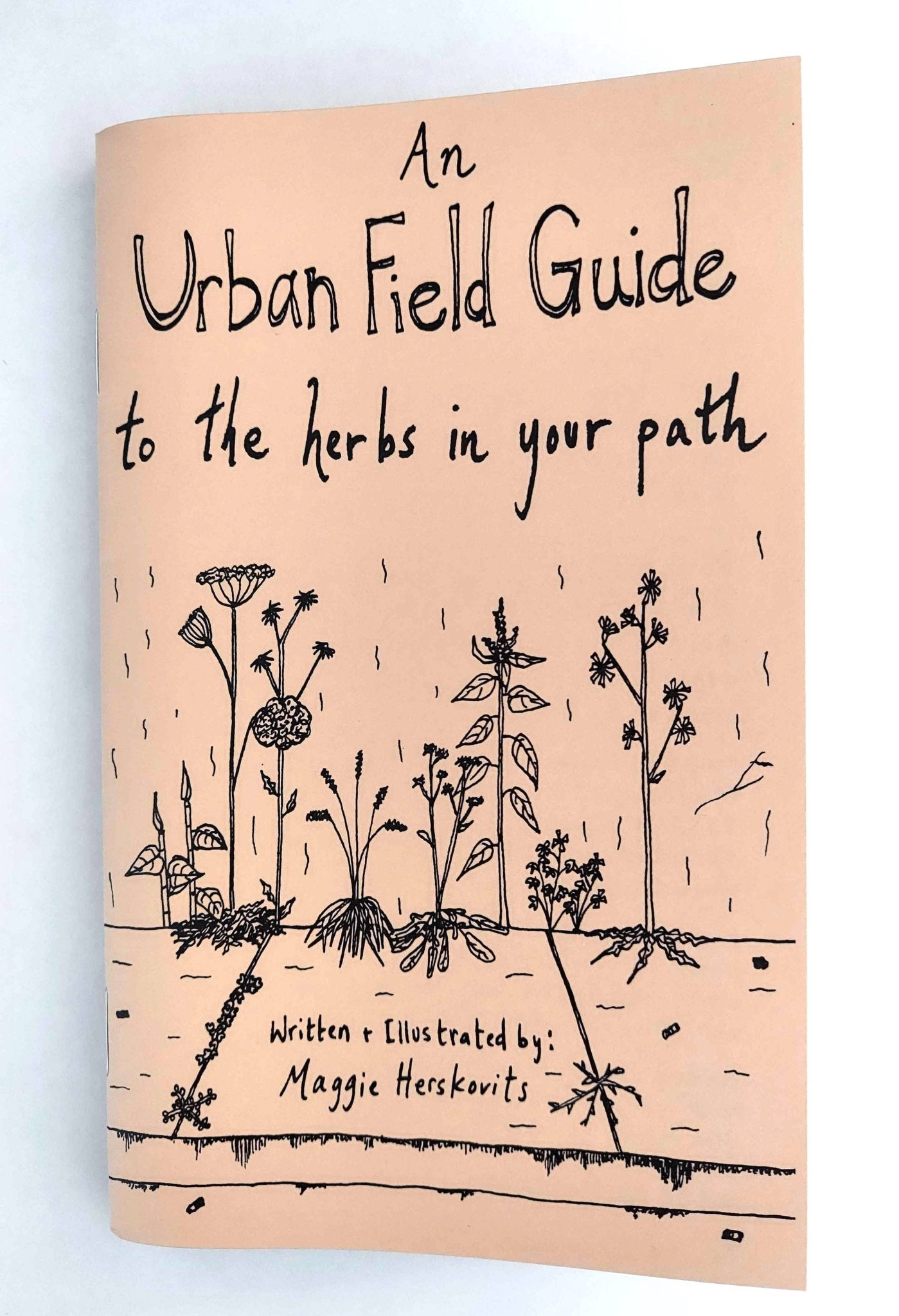 Urban Field Guide to the Herbs in Your Path (Zine) - Dear John