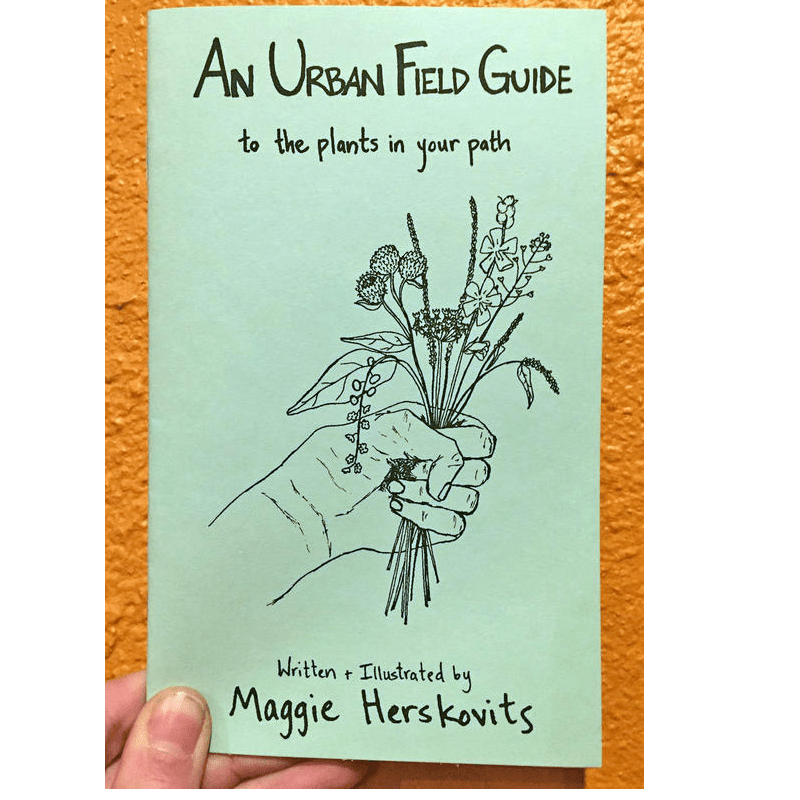 Urban Field Guide to the Plants in Your Path — Discover the Wild Green Around You (Zine) - Dear John