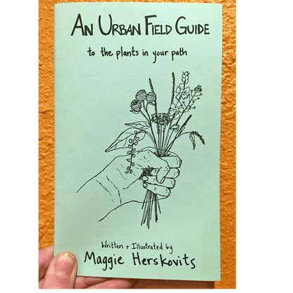 Urban Field Guide to the Plants in Your Path — Discover the Wild Green Around You (Zine) - Dear John
