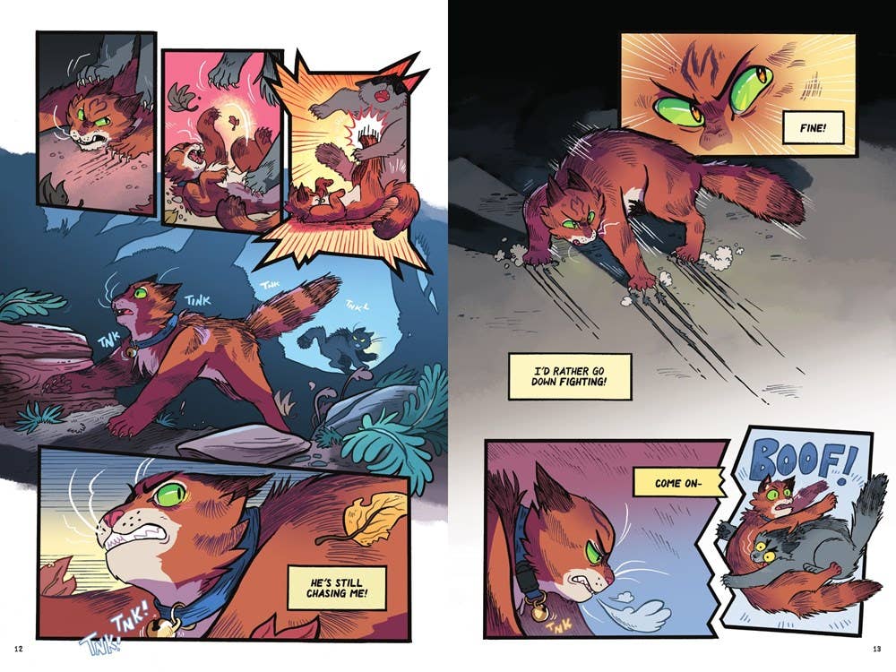 Warriors Graphic Novel: The Prophecies Begin 1 — Erin Hunter - Dear John