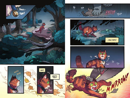 Warriors Graphic Novel: The Prophecies Begin 1 — Erin Hunter - Dear John