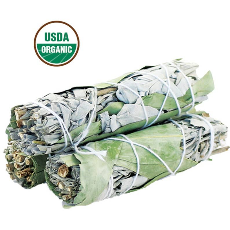 White Sage & Eucalyptus Smudge Stick (4 in.) - Dear John