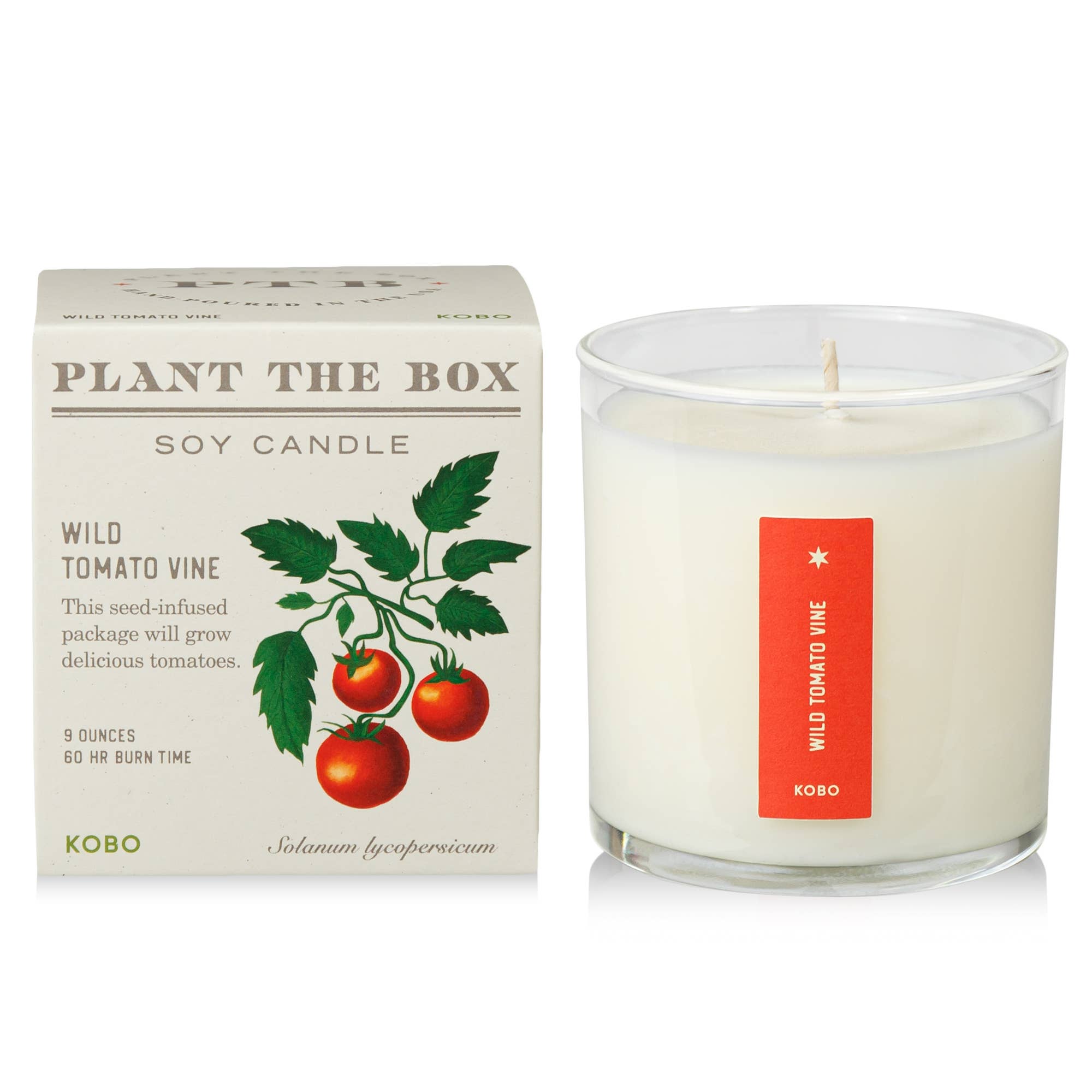 Wild Tomato Vine - Plant the Box Candle - 9oz. - Dear John