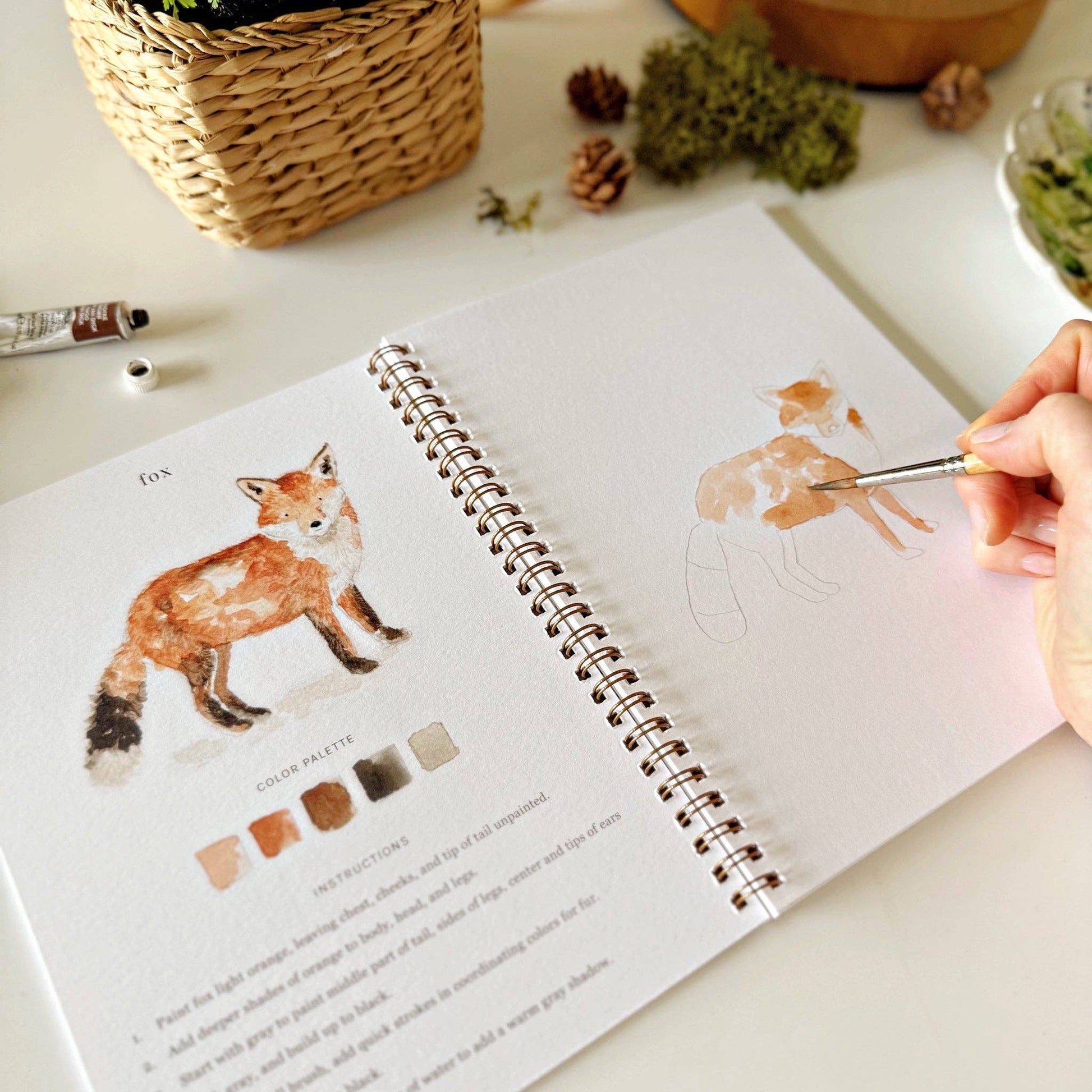 Woodland watercolor workbook - Dear John