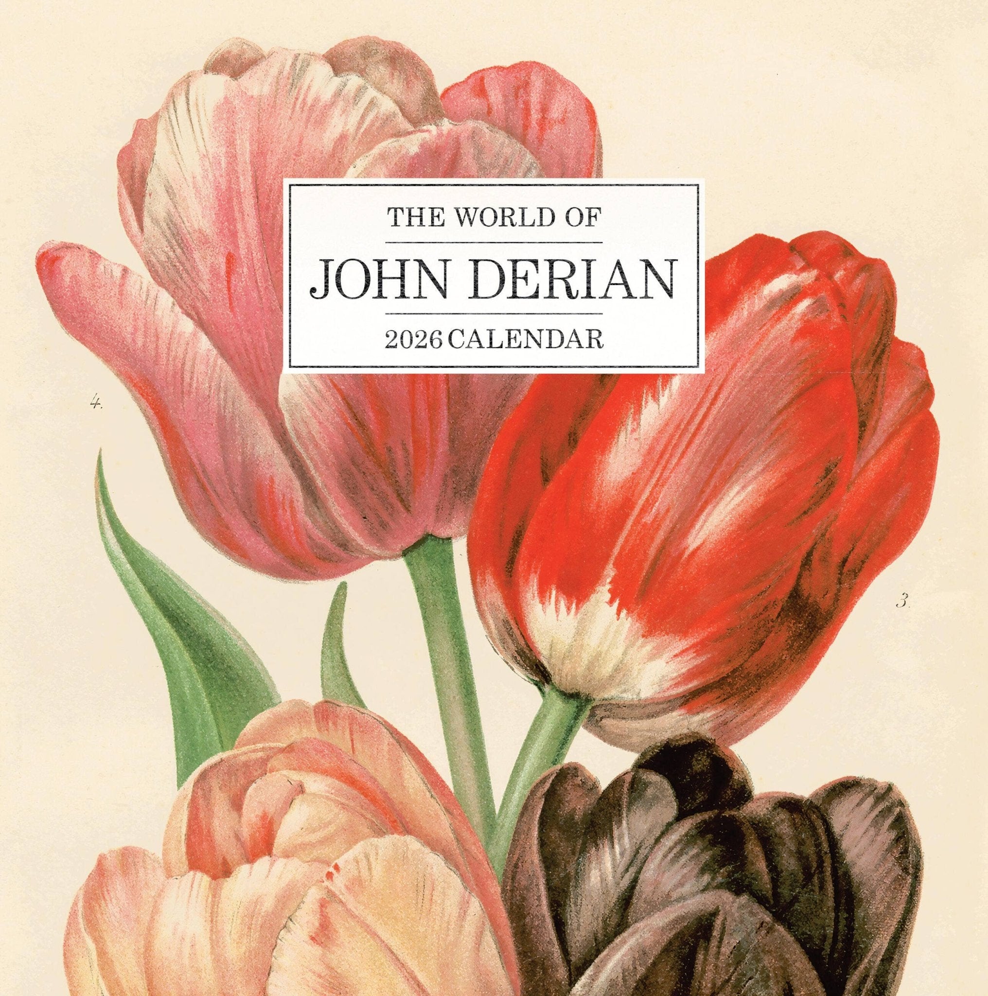 World of John Derian Wall Calendar 2026 - Dear John