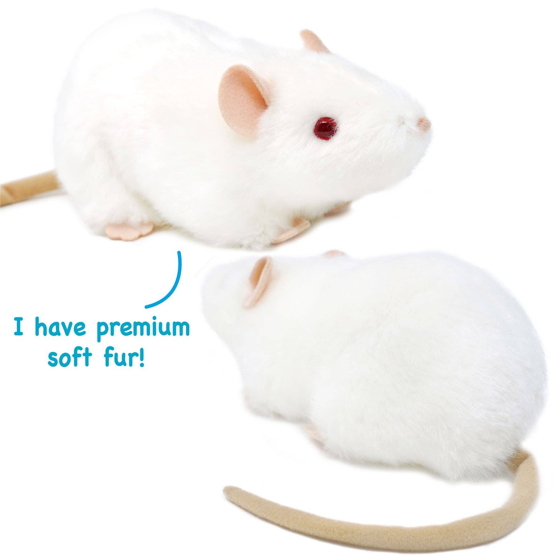 Wylie the White Rat — 7" Stuffed Animal Plush - Dear John